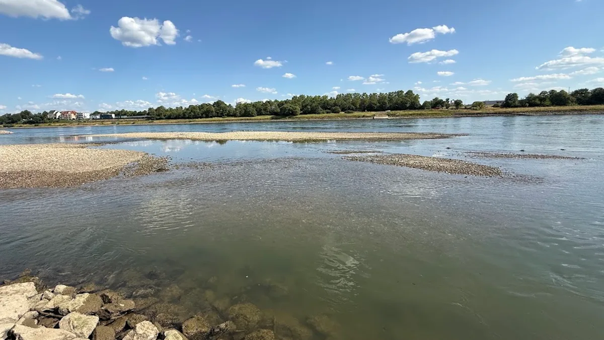 Rhein Neuwied