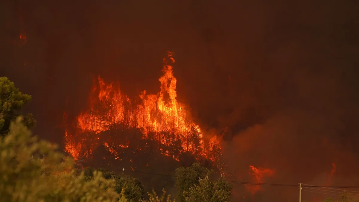 Ein dramatischer Waldbrand, der ein Waldgebiet mit heftigen Flammen und dichtem Rauch verzehrt.