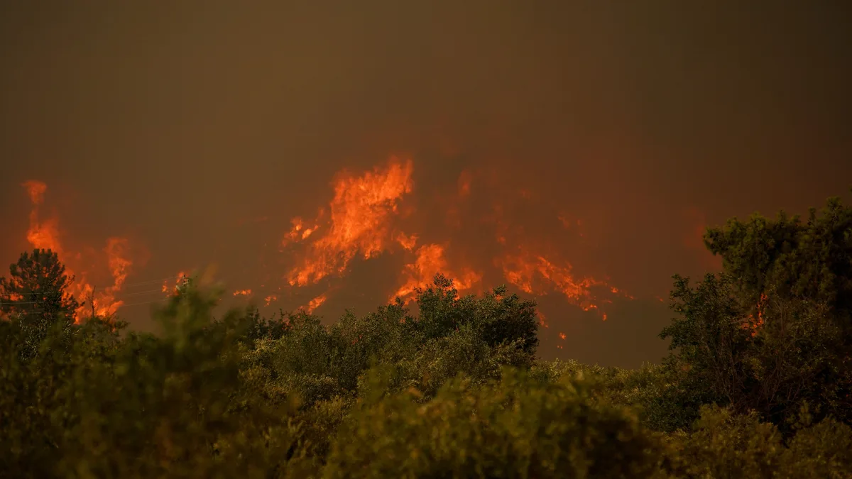 Dramatischer Waldbrand, der unter einem rauchverhangenen Himmel die Waldvegetation verschlingt.
