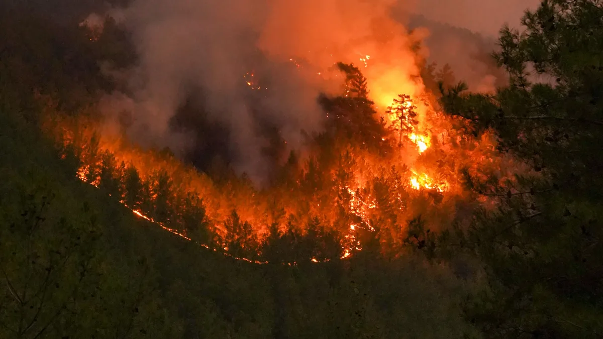 Ein heftiger Waldbrand wütete nachts in einem dichten Wald und bot ein dramatisches Bild.