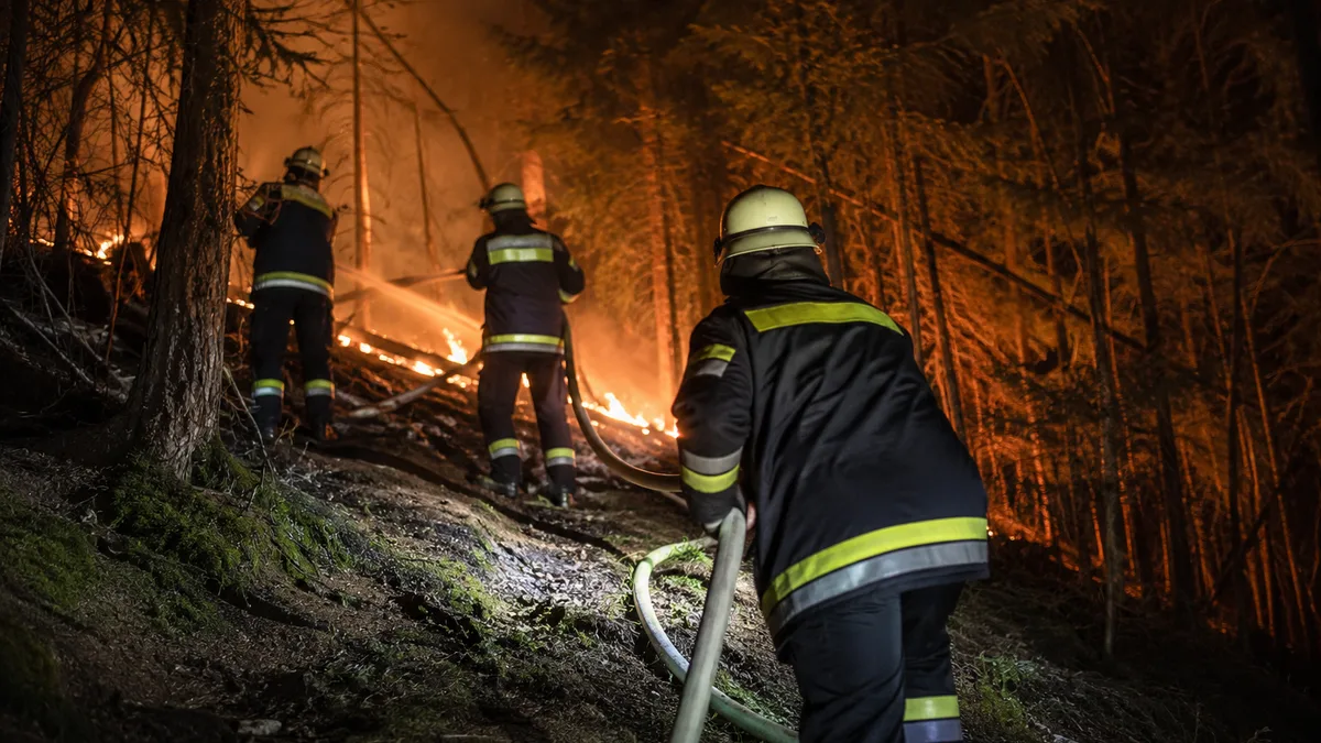 Waldbrand