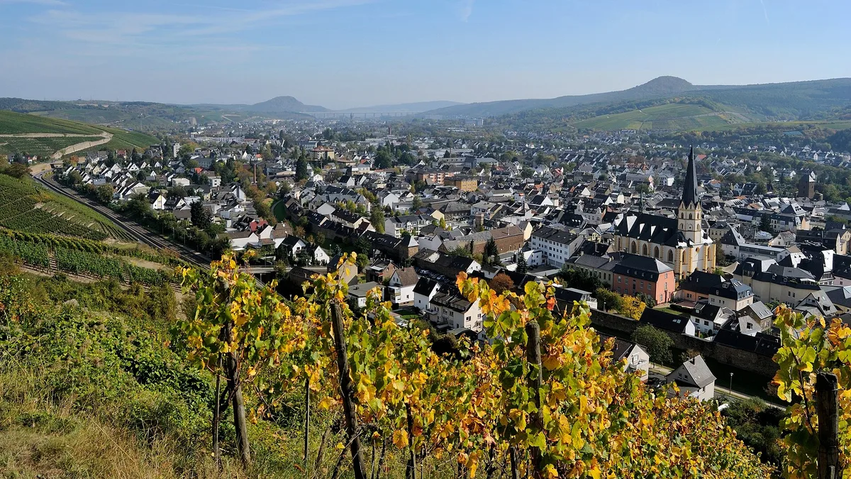 Blick vom Rotweinwanderweg auf die Stadt