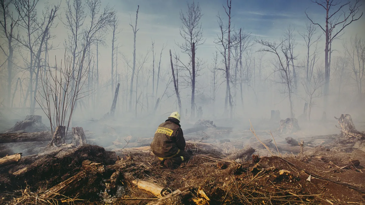 Ein Feuerwehrmann sitzt nachdenklich inmitten der verkohlten Überreste eines Waldbrandes, eingehüllt in Nebel und Rauch.