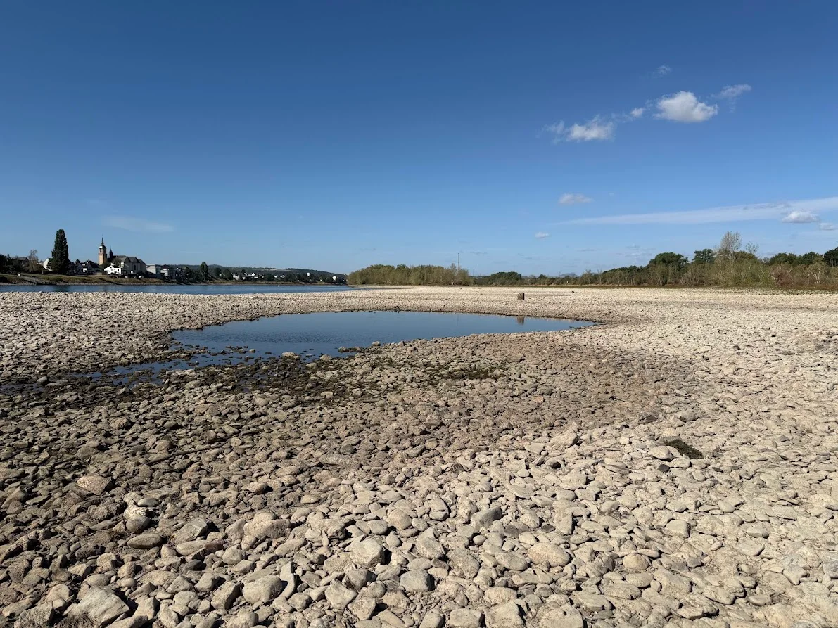In Engers gleicht der Rhein derzeit stellenweise einer kargen Steppe, die Insel "Urmitzer Werth" liegt komplett trocken.