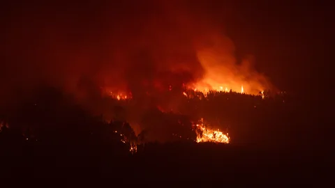 Kostenloses Stock Foto zu abholzung, bäume, brand