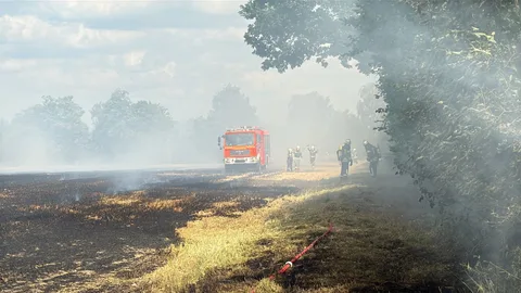 Flächenbrand