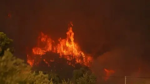 Ein dramatischer Waldbrand, der ein Waldgebiet mit heftigen Flammen und dichtem Rauch verzehrt.