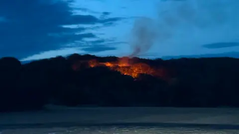 Feuer Wald
