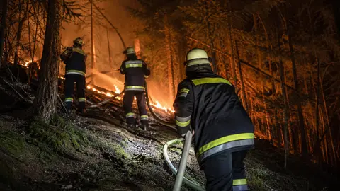 Waldbrand