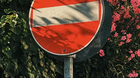 Ein lebhaftes Verbotsschild umgeben von blühenden rosa Blumen und üppigen grünen Sträuchern.