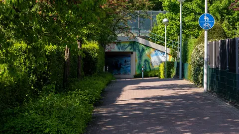 Ein ruhiger Gehweg im Freien, gesäumt von Bäumen und einem Fahrradweg-Schild im Sommer.